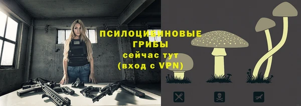 прущая мука Ладушкин