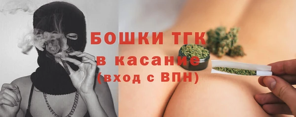 гашик Лагань