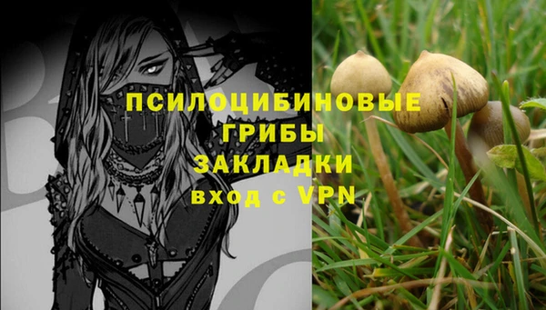 гашик Лагань
