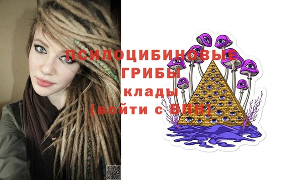 гашик Лагань