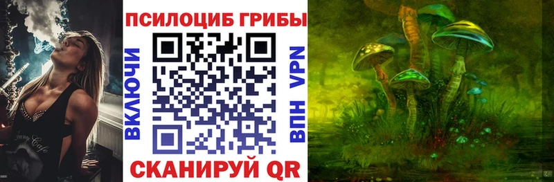 Купить закладки Карабаш Галлюциногенные грибы прущие грибы